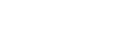 Partner 1